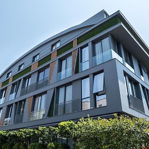 Loft 1502